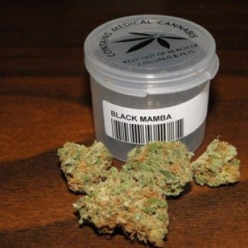 Black Mamba is an Indica dominant hybrid strain that offers a lot of medical benefits to users. It gets the name Black Mamba because of a poisonous African snake to highlight the user about the strong effects of this strain